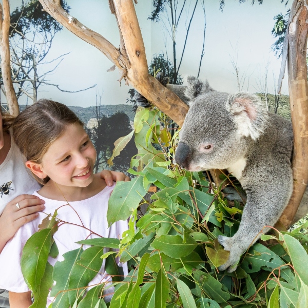 Adventure: Wild Wonders at Sydney Zoo