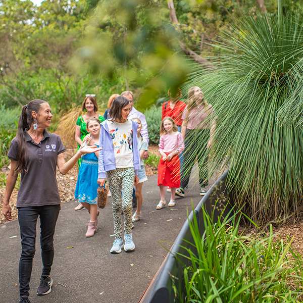 Adventure: Nature Explorers at Mount Annan Botanic Garden