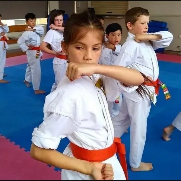 Adventure: Karate Kicks at Kando Martial Arts